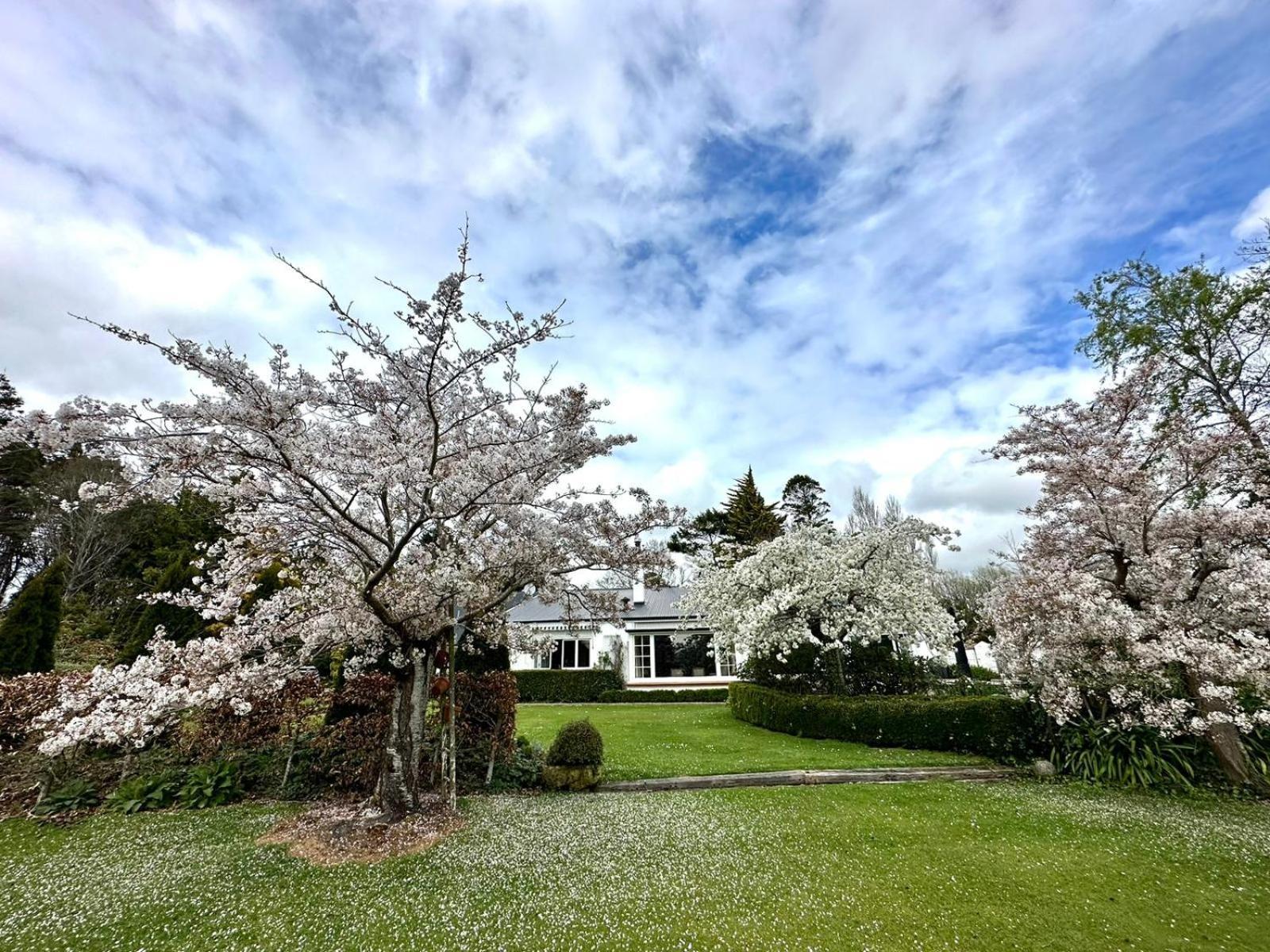 Whiteacres Bed & Breakfast Invercargill Exterior photo